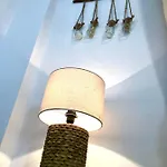 Araucana * カディス