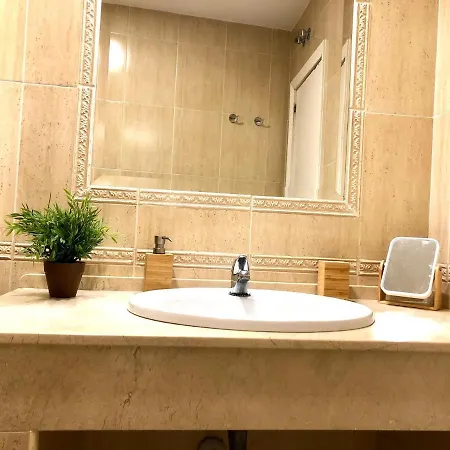 Araucana * カディス