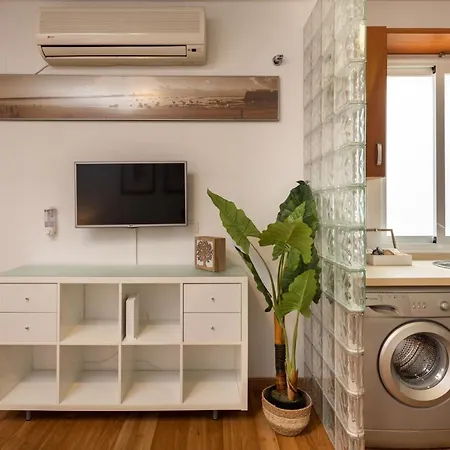 Apartment Araucana *