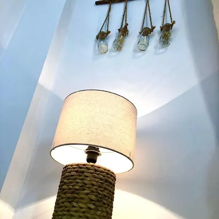 Araucana * 카디스