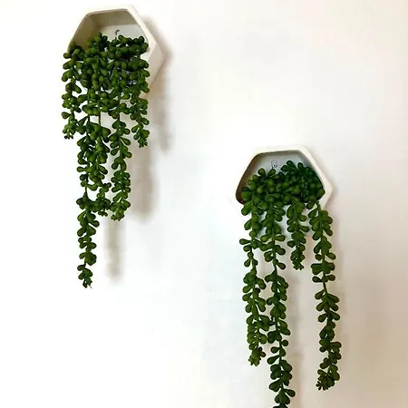 Araucana 아파트 *